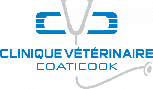 Clinique Vétérinaire de Coaticook - Partenaire argent du Festival du Rodéo d'Ayer's Cliff